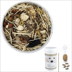 Cani TAO-HOT / Equilibre Comportement Chien