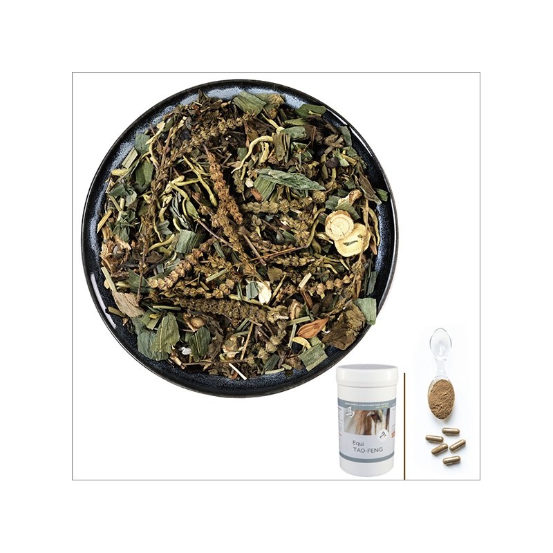 Equi TAO-FENG / Grippe & Gourme Cheval