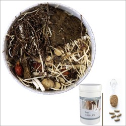 Equi TAO-LOVE - Formule sur-mesure