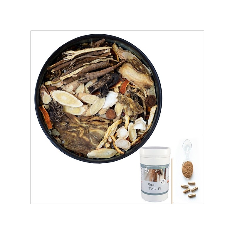 Equi TAO-PI / Confort & Digestion Cheval