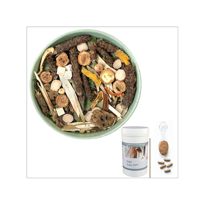 Equi TAO-ZEN / Equilibre Hormonal Cheval