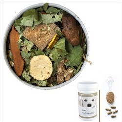 Cani TAO-NIANG / Equilibre & Chienne Gestante