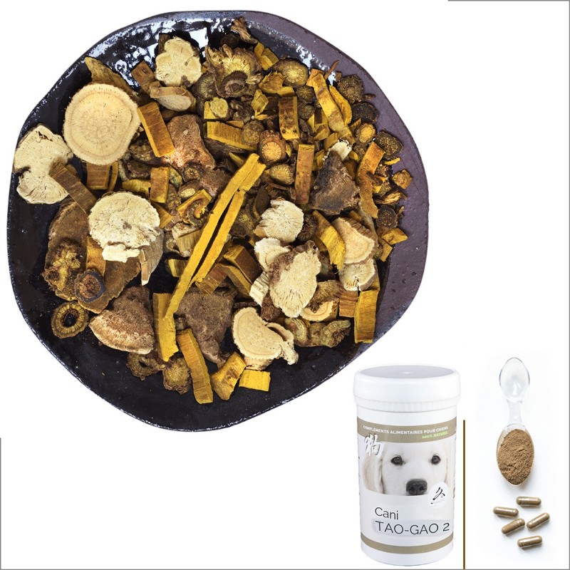 Cani TAO-GAO n°2 / Confort & Peau Chien
