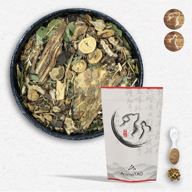 Cani TAO-MING / Equilibre & Vision Chien