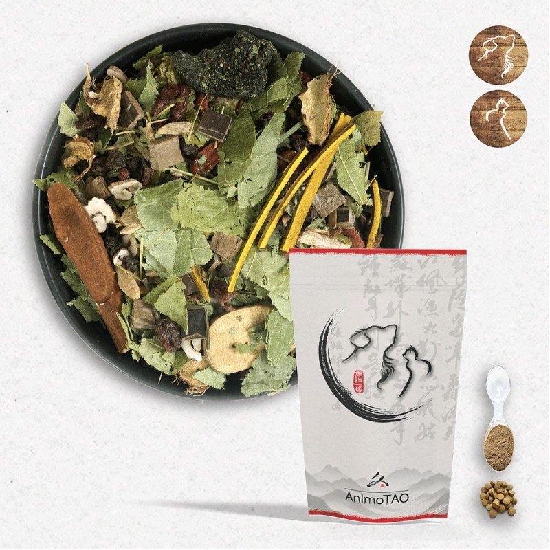 Cani TAO-YU / Croissance du chiot