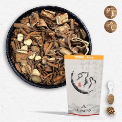 copy of Cani TAO-KAO / Tiques et puces Chien