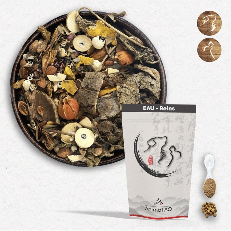copy of Cani TAO-KAO / Tiques et puces Chien