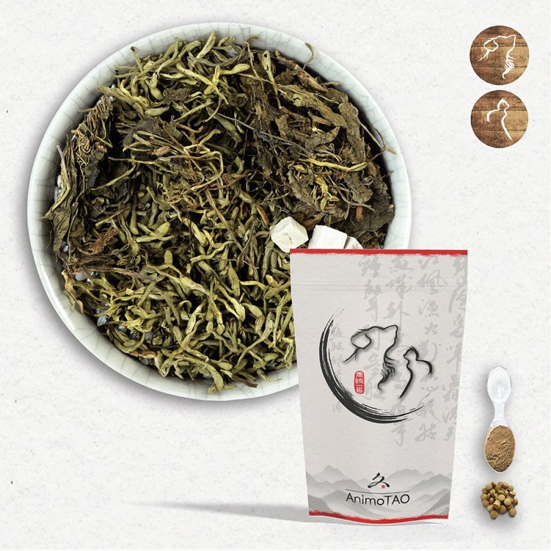Cani TAO-JUN / Malassezia & Teigne Chien