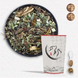 Cani TAO-GANYAN / Hépatite Chien