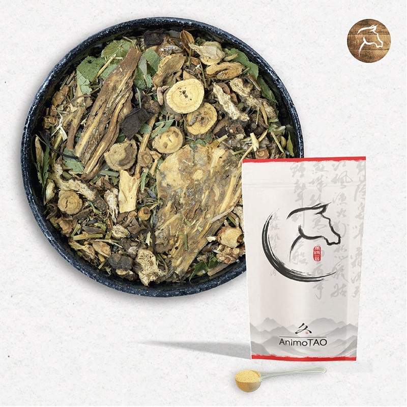 Equi TAO-MING / Equilibre & Vision Cheval