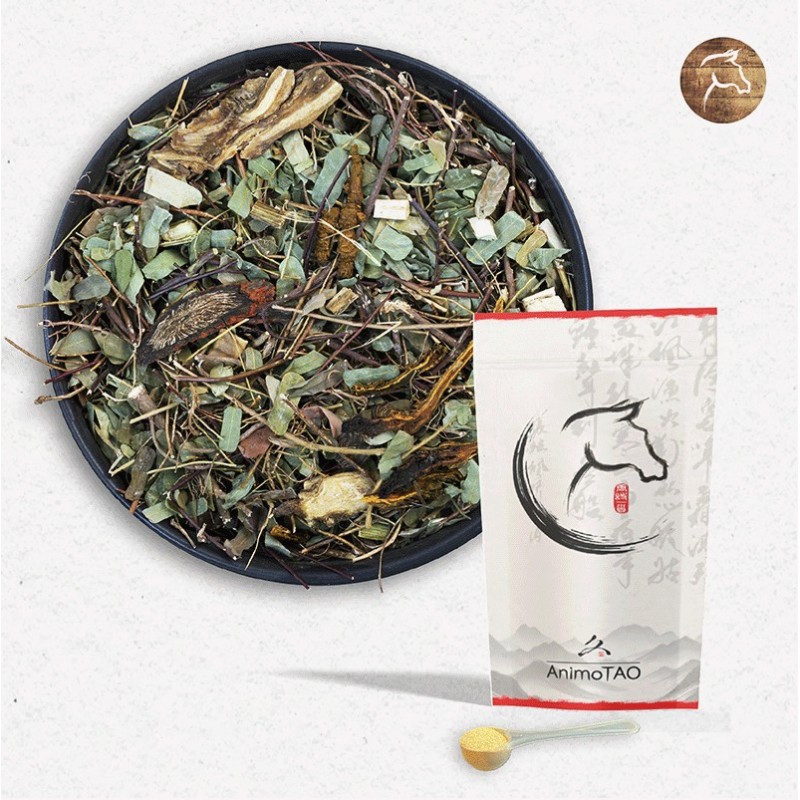 Equi TAO-CHUANG Post / Pied & Immunité Cheval