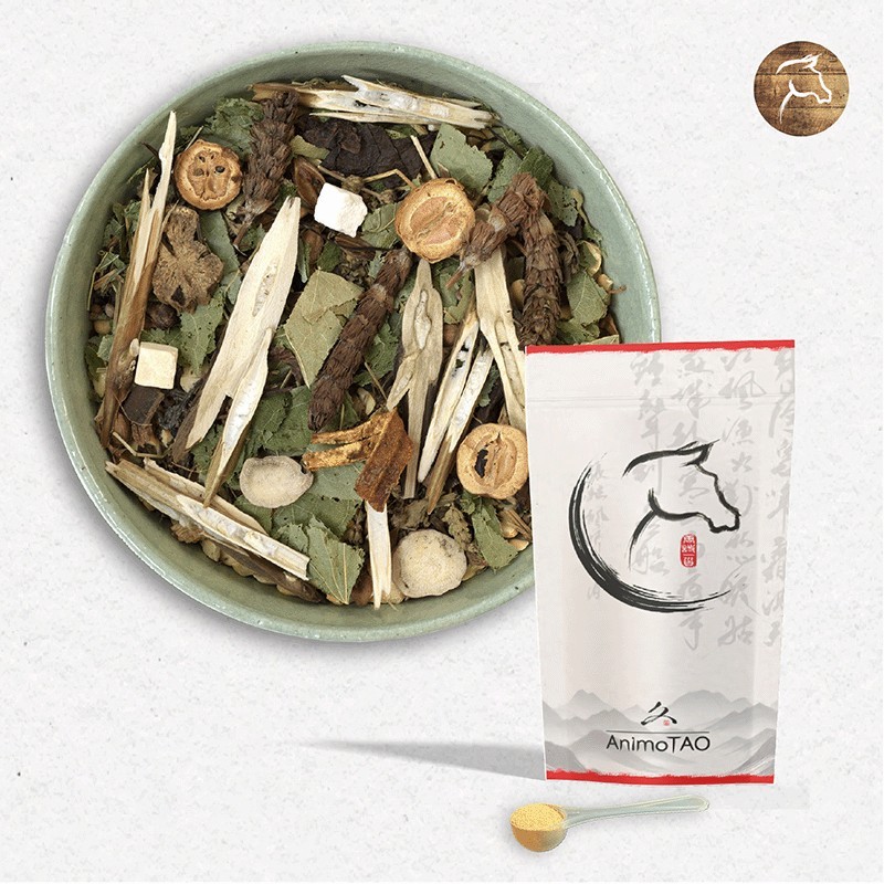 Equi TAO-LIU / Cancer & Tumeur Cheval