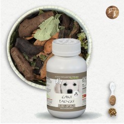 Cani TAO-GU / Ostéosarcome Chien