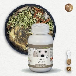 Cani TAO-JIE / Lymphome Chien