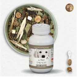 Cani TAO-LIU / Cancer & Tumeur Chien