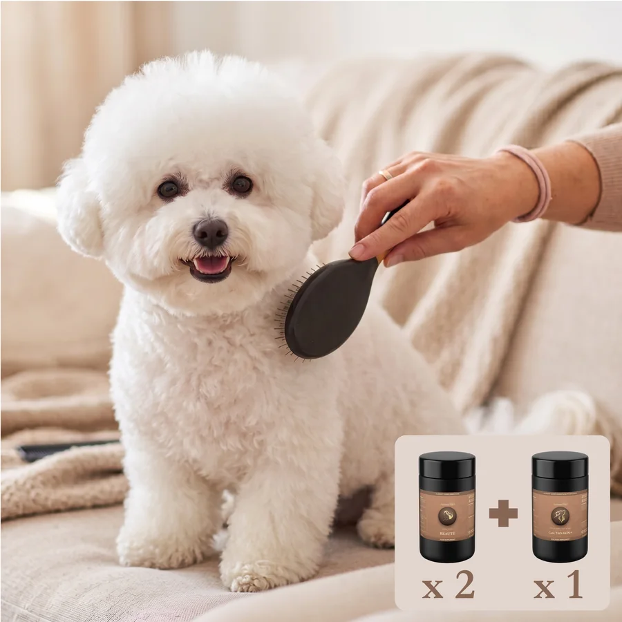 Pack Duo Beauté - une formule pour vous, une pour votre chien