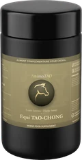 Equi TAO-CHONG