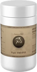 Equi TAO-FEI