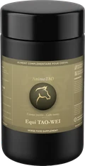 Equi TAO-WEI