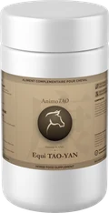 Equi TAO-YAN