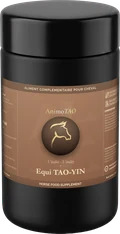 Equi TAO-YIN